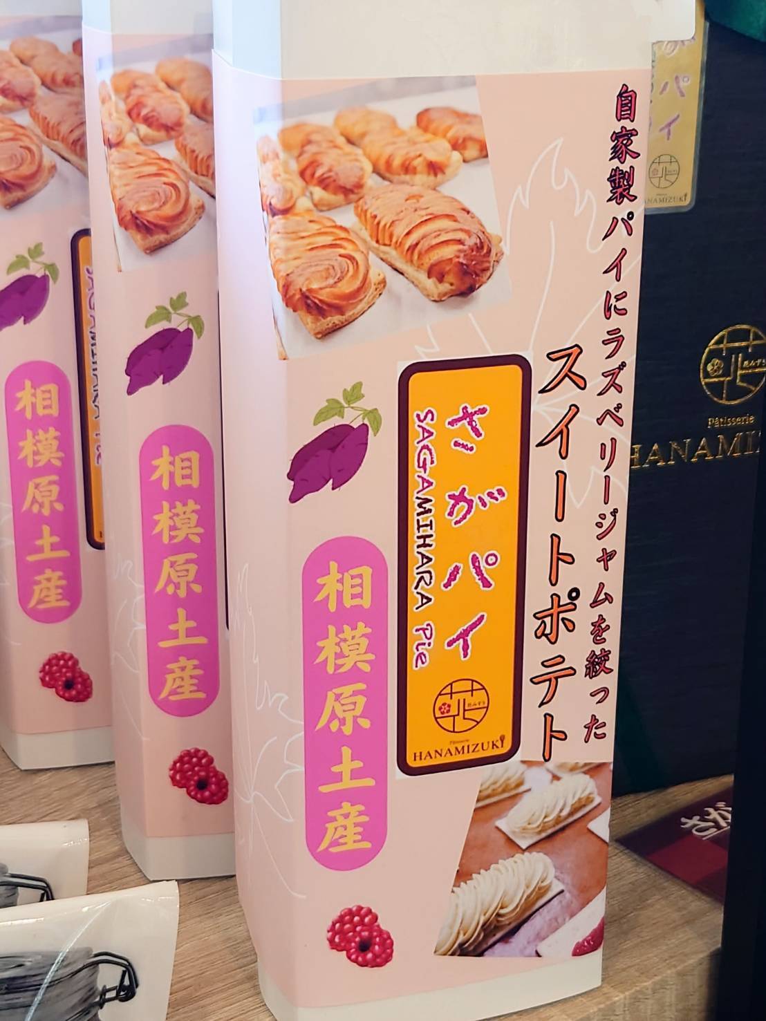 花みずき (ハナミズキ)画像